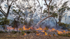 Bush Fire Prone Land