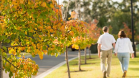 Nature Strip Maintenance