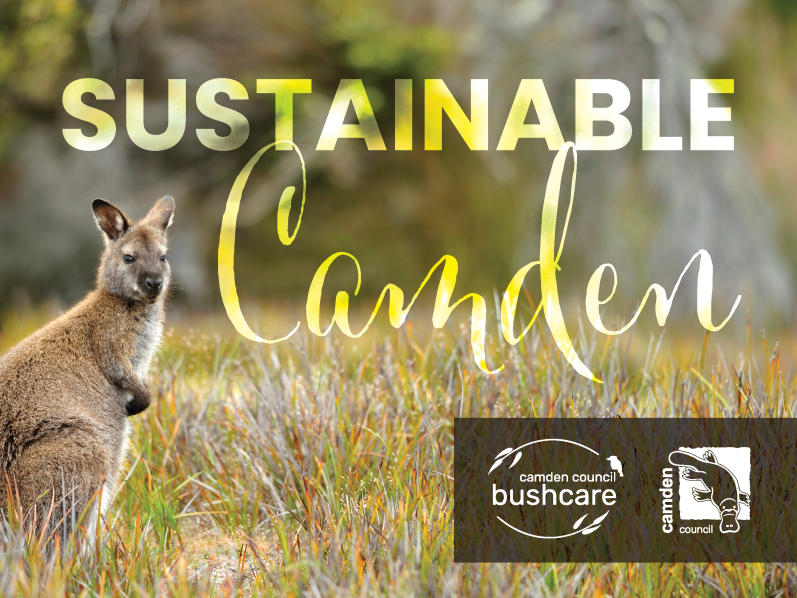 Sustainable Camden eNewsletter Banner 2022