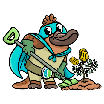 Platypus Warrior 01 Planting Native 1920x1920 RGB ENAU