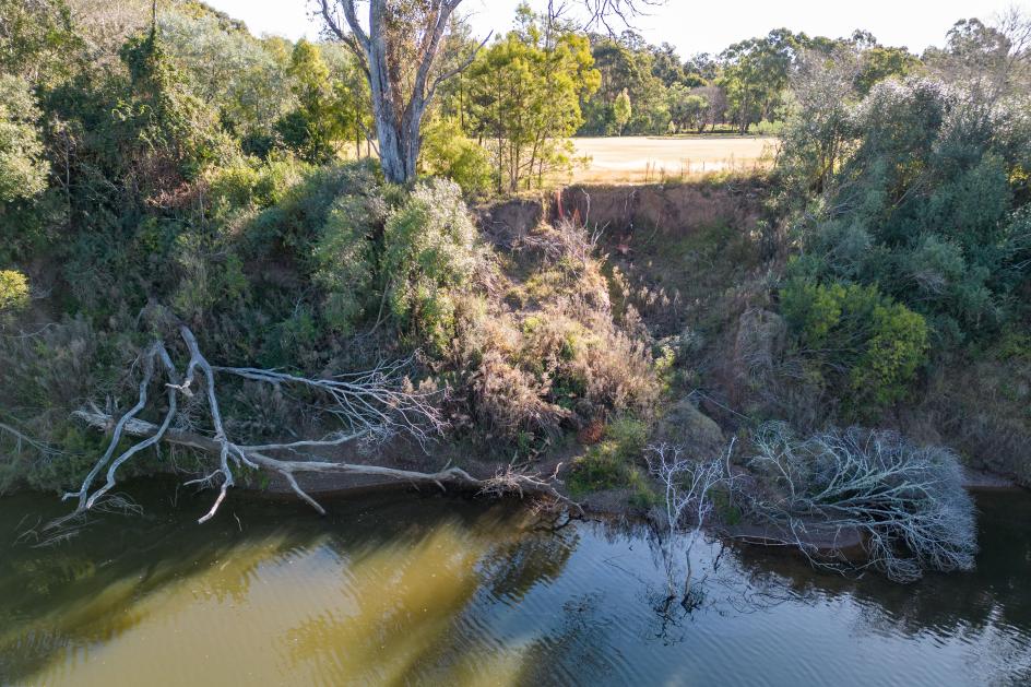 Scour from Nepean River Site 5