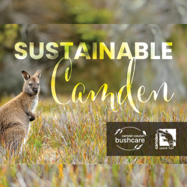 Sustainable Camden eNewsletter