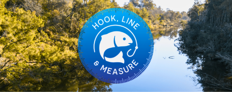 Hook, Line and Measure