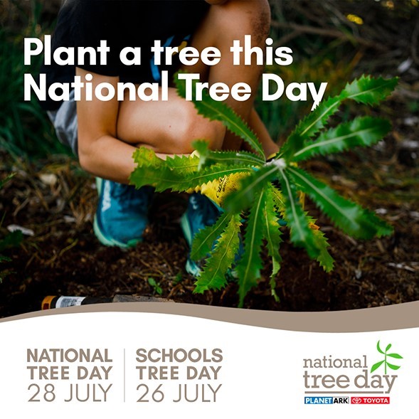 National Tree Day 2024