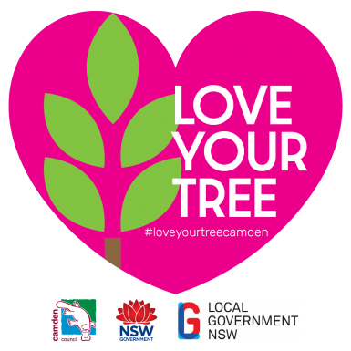 Love your Tree Sticker 100x100 PINK print