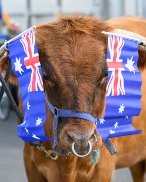 Australia Day Parade 2025 