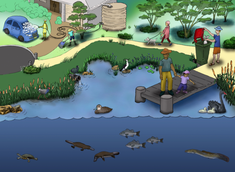 Final Graphic Be the Solution to Stormwater Pollution PNG